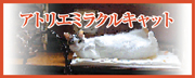 アトリエミラクルキャット